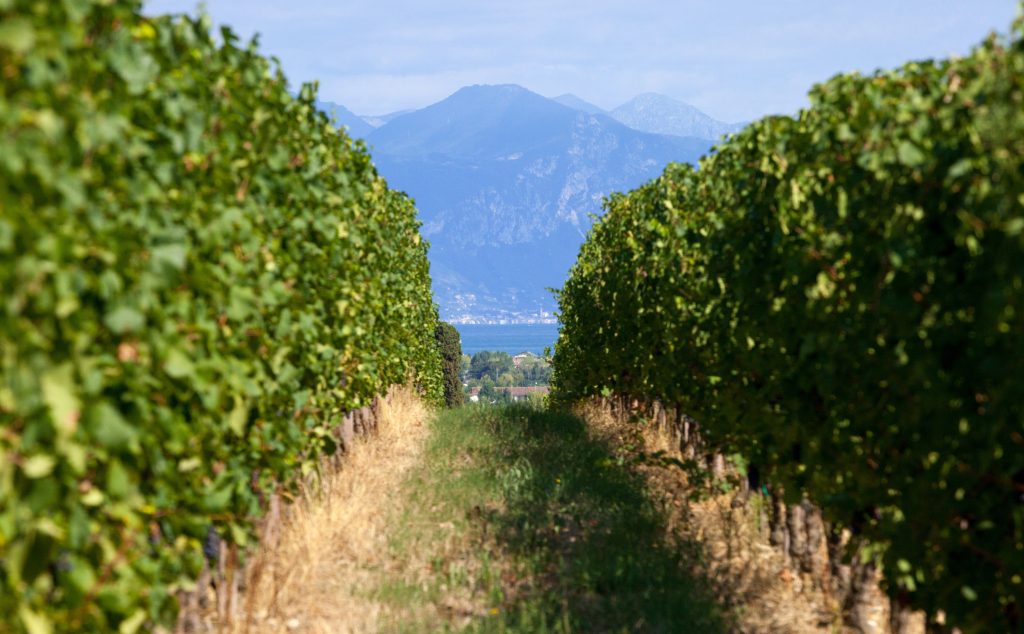 colline lugana
